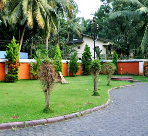 Garden area