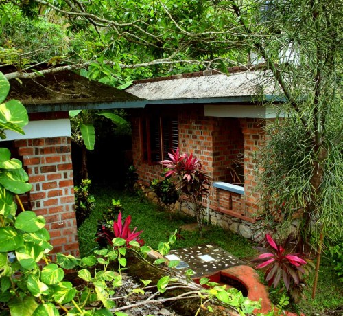 Hillside cottage1 Hillside cottage1
