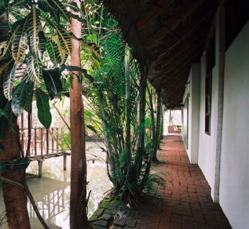 Pathway Pathway