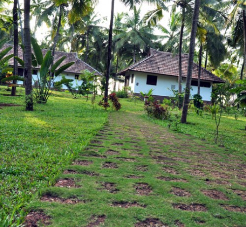 Pathway-&-cottage-view