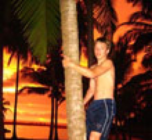 Climbing coconut