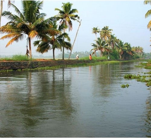 Surrounding of the Resort