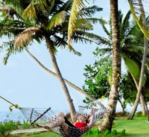 Hammock