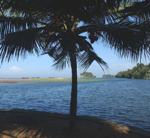 Scenary from the resort 3