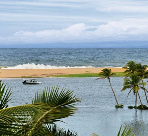 Estuary View- Aerial shot