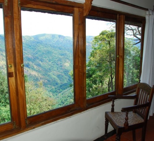 View from Jacaranda House