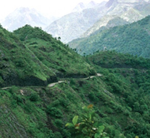 Thekkady Thekkady
