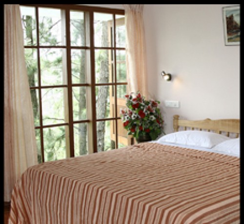 Room Room
