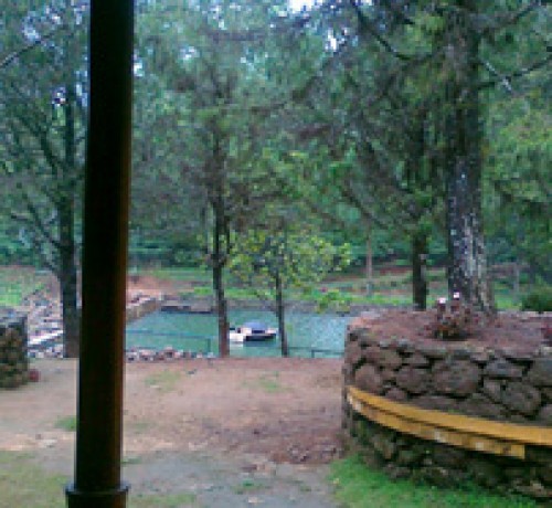 Greenery