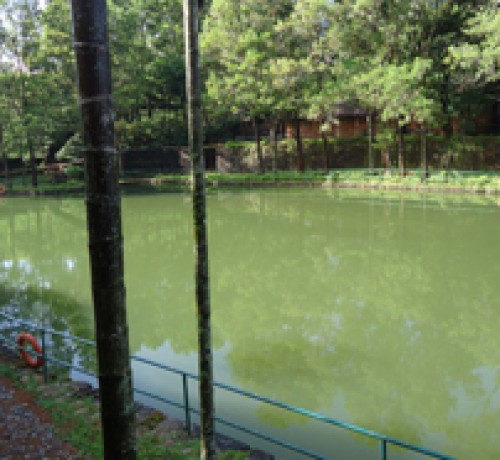 Lake 2