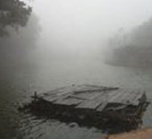 Lake amidst mist