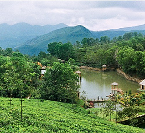 Panoramic View