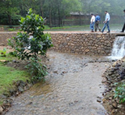 Rivulet