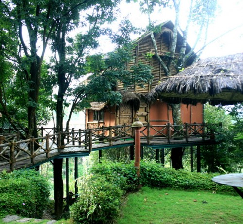 Bamboo Tree House Bamboo Tree House