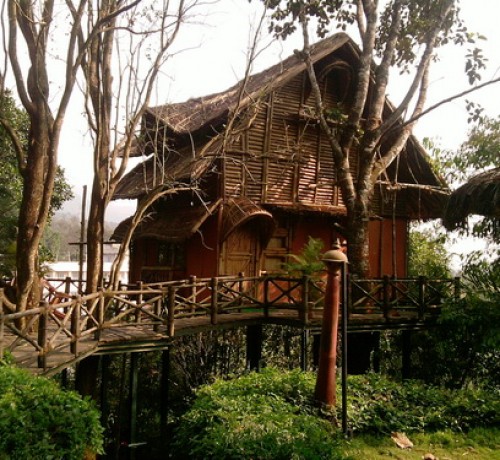 Bamboo Tree House amidst Greenery Bamboo Tree House amidst Greenery