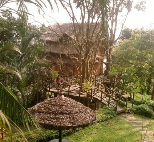 Bamboo Tree House in a serene locale Bamboo Tree House in a serene locale
