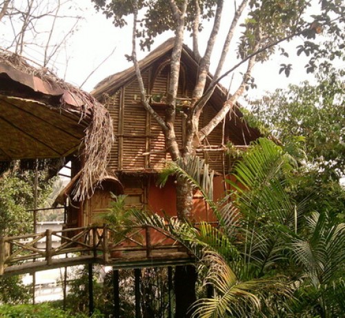 Bamboo Tree House set amidst Nature Bamboo Tree House set amidst Nature