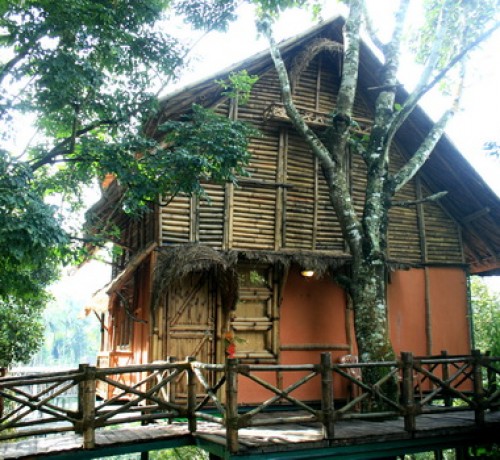 Front View of Bamboo Tree House Front View of Bamboo Tree House