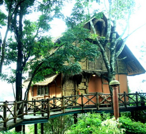 Main View of Bamboo Tree House Main View of Bamboo Tree House