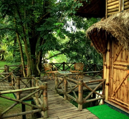 Sit out at Bamboo Tree House Sit out at Bamboo Tree House