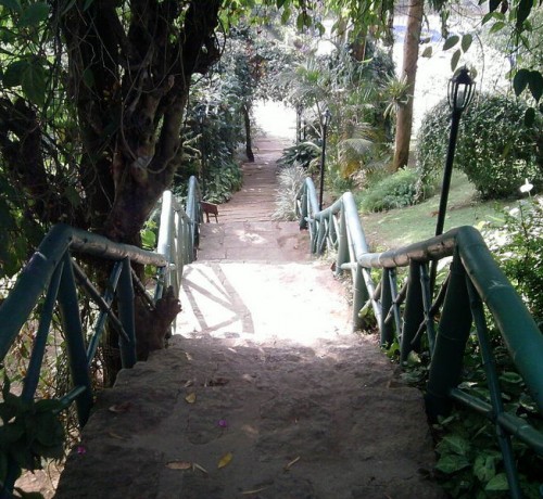 Pathway to Cottage Pathway to Cottage