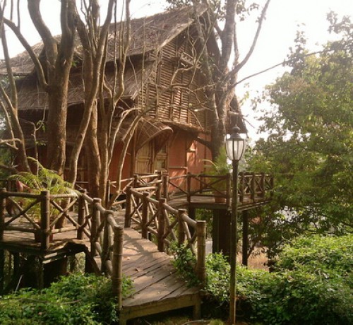Way to Bamboo Tree House Way to Bamboo Tree House