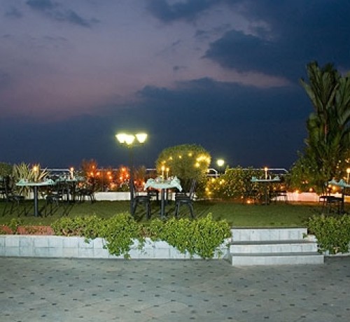 Garden Garden