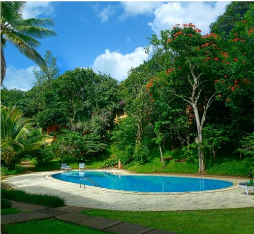 Swimming Pool Swimming Pool