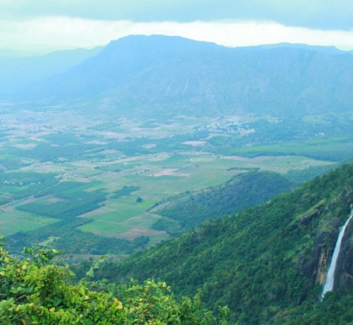 Scenic Beauty