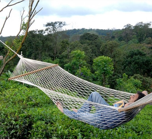 Hammock