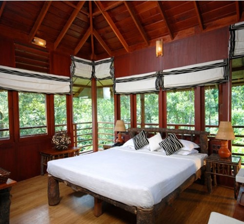 Tree House Interior