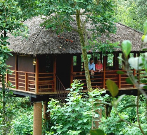 Tree House