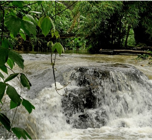 Picturesque Waterfalls
