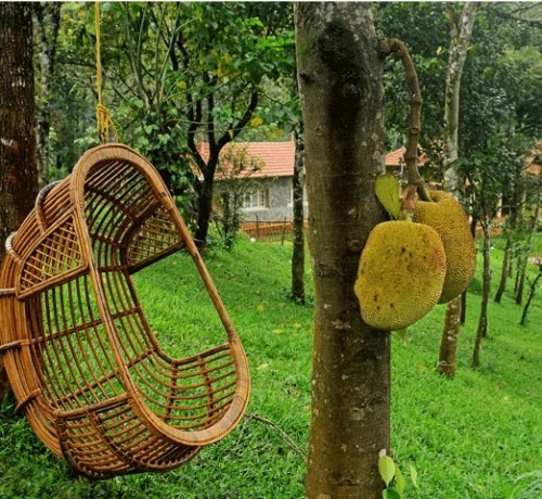 A Swing in the Garden