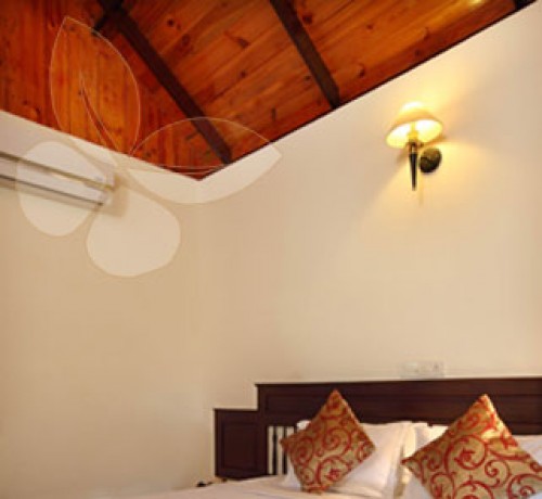 Elegant Luxury Room Elegant Luxury Room