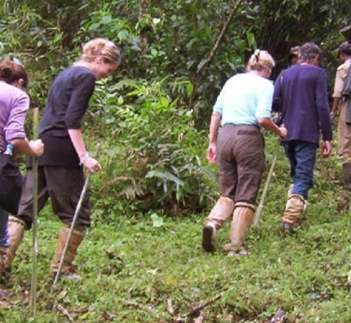 Trekking