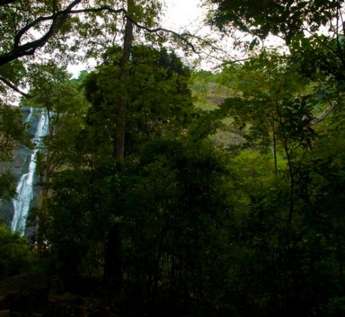 Falls Falls
