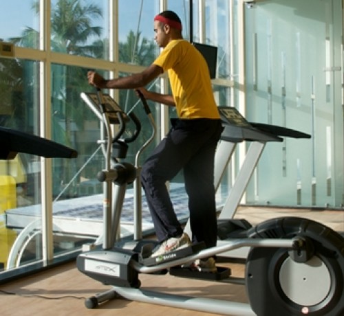 Indoor Exercise in Nature at the Gym Indoor Exercise in Nature at the Gym