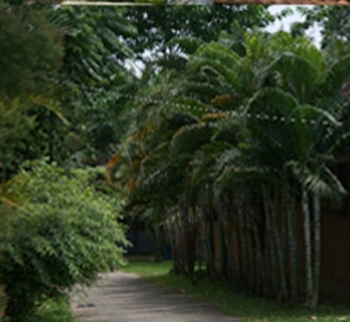 Eco friendly resort Eco friendly resort