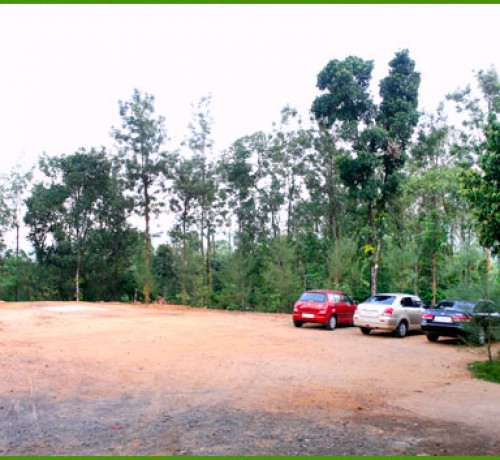 Parking Area beside the Restaurant Parking Area beside the Restaurant