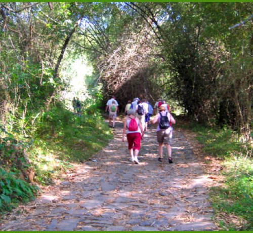 Trekking Trekking