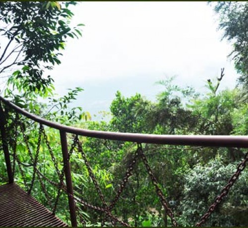 Tree House View from Passage