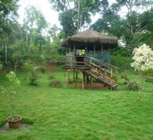 Scenic Greenery