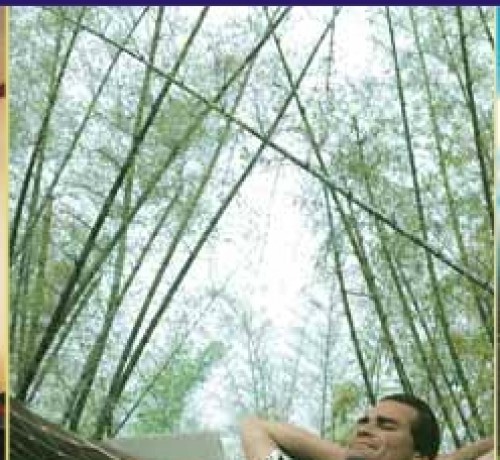 Hammock Hammock