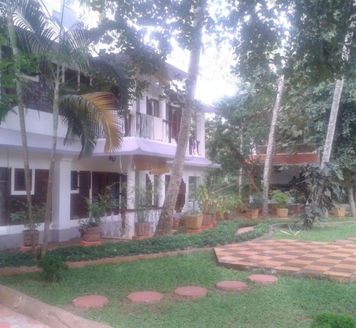Garden view Garden view