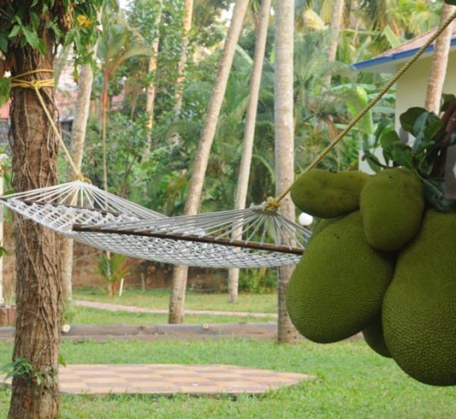 Hammock Hammock