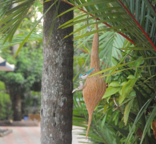Nest Nest