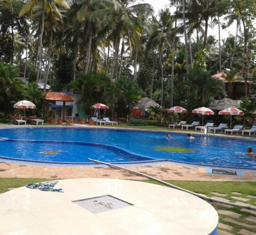 Palm grooves by the pool Palm grooves by the pool