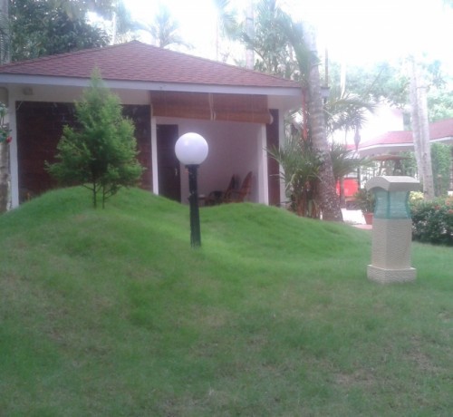 Undulating lawn Undulating lawn