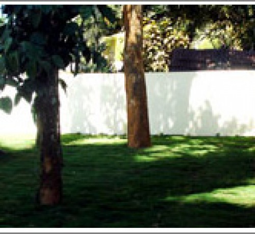 Garden Garden
